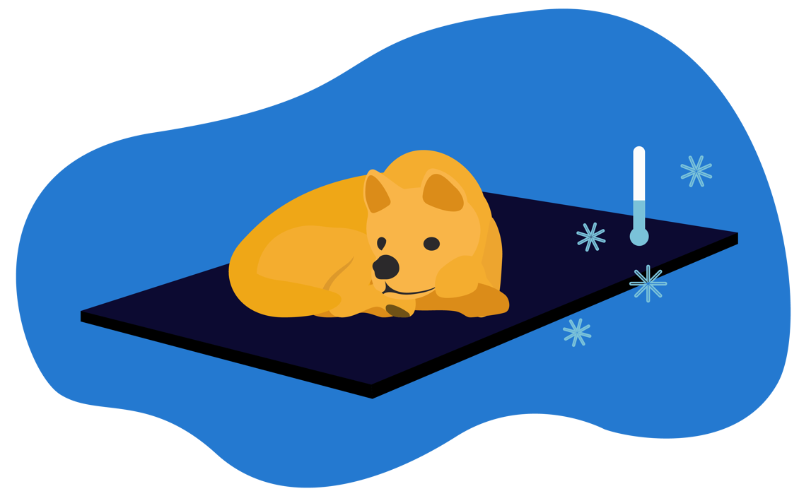 Tappetino-refrigerante-per-cani-intro