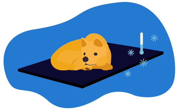 Tappetino-refrigerante-per-cani-intro