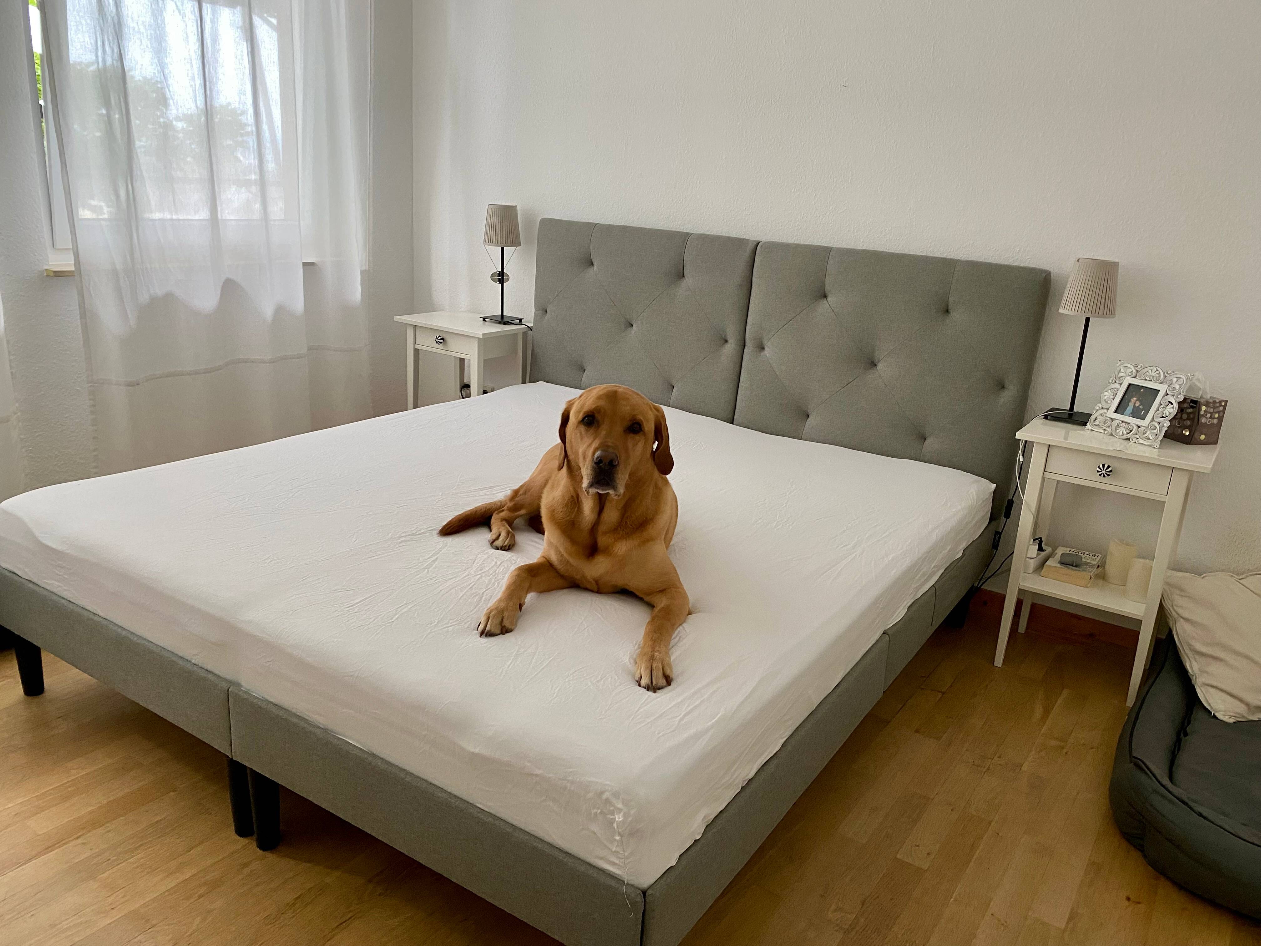 Contenitore letto Emma