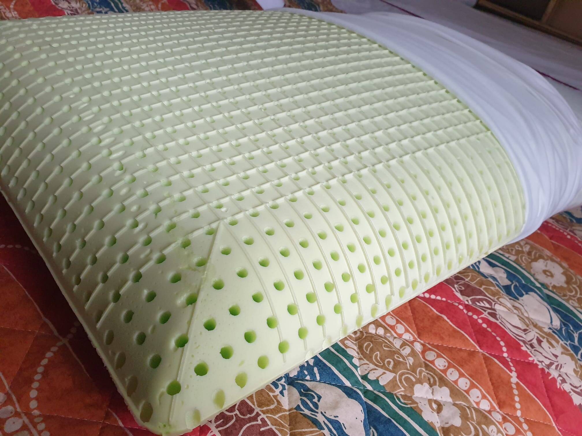 Cuscino La Spezia aloe vera Materassiedoghe