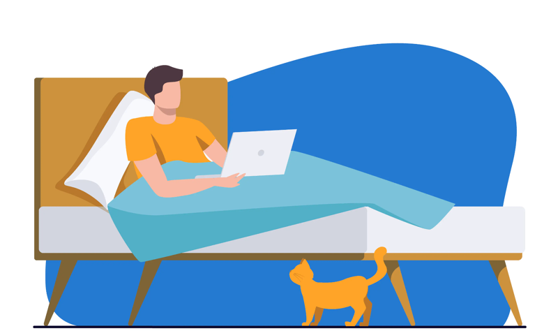 V-pillow-man-with-laptop.png